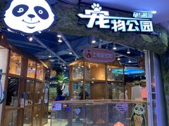 -龟与熊猫宠物公园(南坪店)