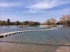 -上海佘山世茂艾美酒店