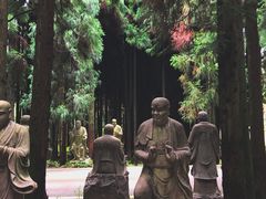 -武陵山森林公园