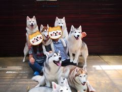 -TrueLove @ Neverland (Husky Cafe)