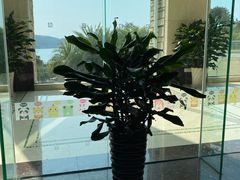 -老淳安—伴山伴湖(千岛湖开元度假村店)