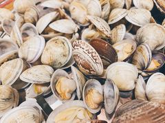 -海博汇蒸汽海鲜