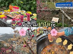 -桃源山庄·水蜜桃采摘·柴火鸡·烧烤团建(龙泉山店)