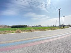 -莲花岛景区