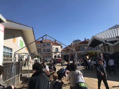 -黑潮市场