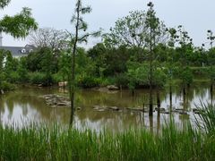 -上海长兴岛郊野公园