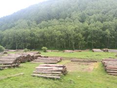 -塞罕坝国家级自然保护区