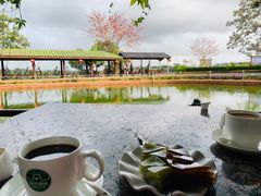 -侯臣咖啡文化村