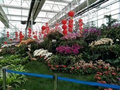 -兰陵国家农业公园