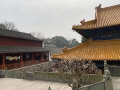 -普陀山风景名胜区-法雨禅寺