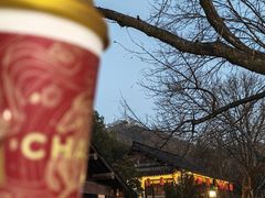 -灵顺寺