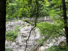 -青峰峡国家森林公园