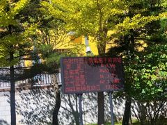 -洛阳白云山景区