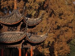 -杭州植物园