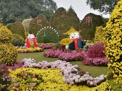 -南山植物园