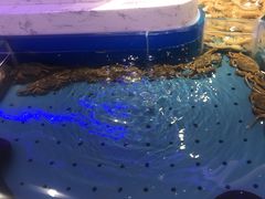 -澜悦港海鲜体验主题餐厅