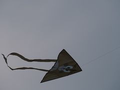 -院士公园