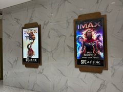 -SFC上影百联影城(八佰伴IMAX店)
