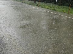 -上海游泳馆(地铁站)