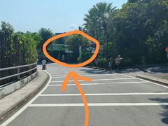 -圣淘沙天际线斜坡滑车