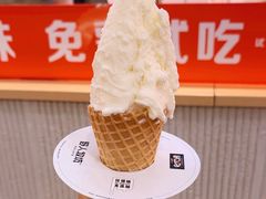 -野人先生现做冰淇淋(西安赛格店)