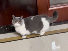-八合里潮汕鲜牛肉火锅(万科里店)