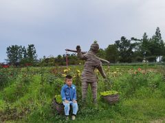 -杭州湾海上花田景区