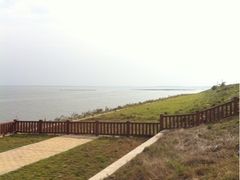 -湖南东洞庭湖国家级自然保护区