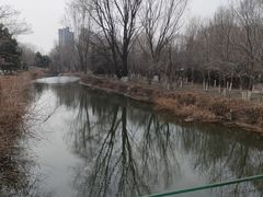 -长白岛森林公园