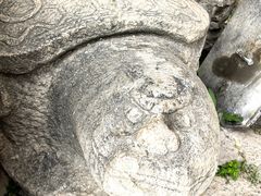 -金灯寺