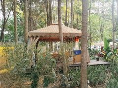 -二荆条·蜀鲜汇城市森林火锅