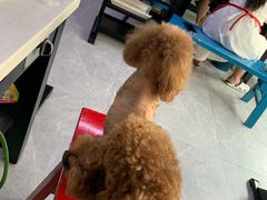 -俭让佬妈现卤串串(温江总店)
