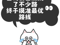 -日照海滨国家森林公园