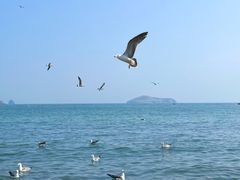 -银沙滩浴场