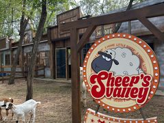 -南戴河国际娱乐中心