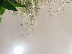 -必胜客(东兴商厦店)