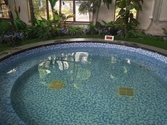 -大连金石滩绿发温泉假日酒店