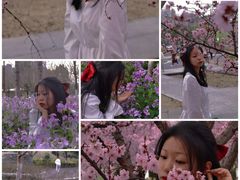 -白塘生态植物园