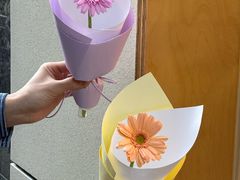 -花生FM_FLOWERS