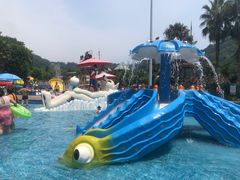 -重庆海昌加勒比海水世界