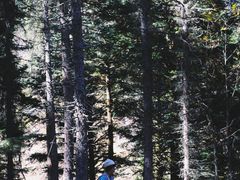 -硗碛藏寨·神木垒景区