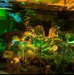 -恐龙探索乐园(磁器口店)