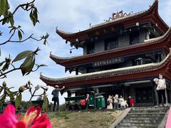 -贵州百里杜鹃风景名胜区
