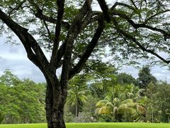 -中国科学院西双版纳热带植物园