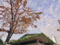 -秋水广场