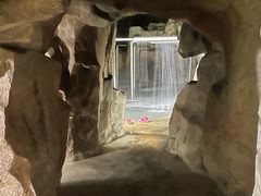 -汤山一号温泉度假区