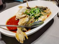 清蒸石斑鱼-徐记海鲜·宴会(大唐西市|丰庆店)