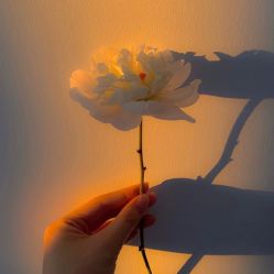 -盘子女人坊古装写真摄影