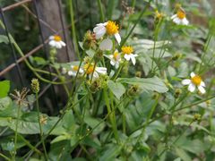 -麦园农庄·西江河鲜