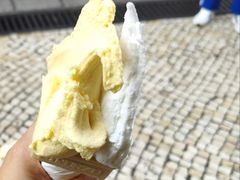 -柠檬车露(卖草地店)